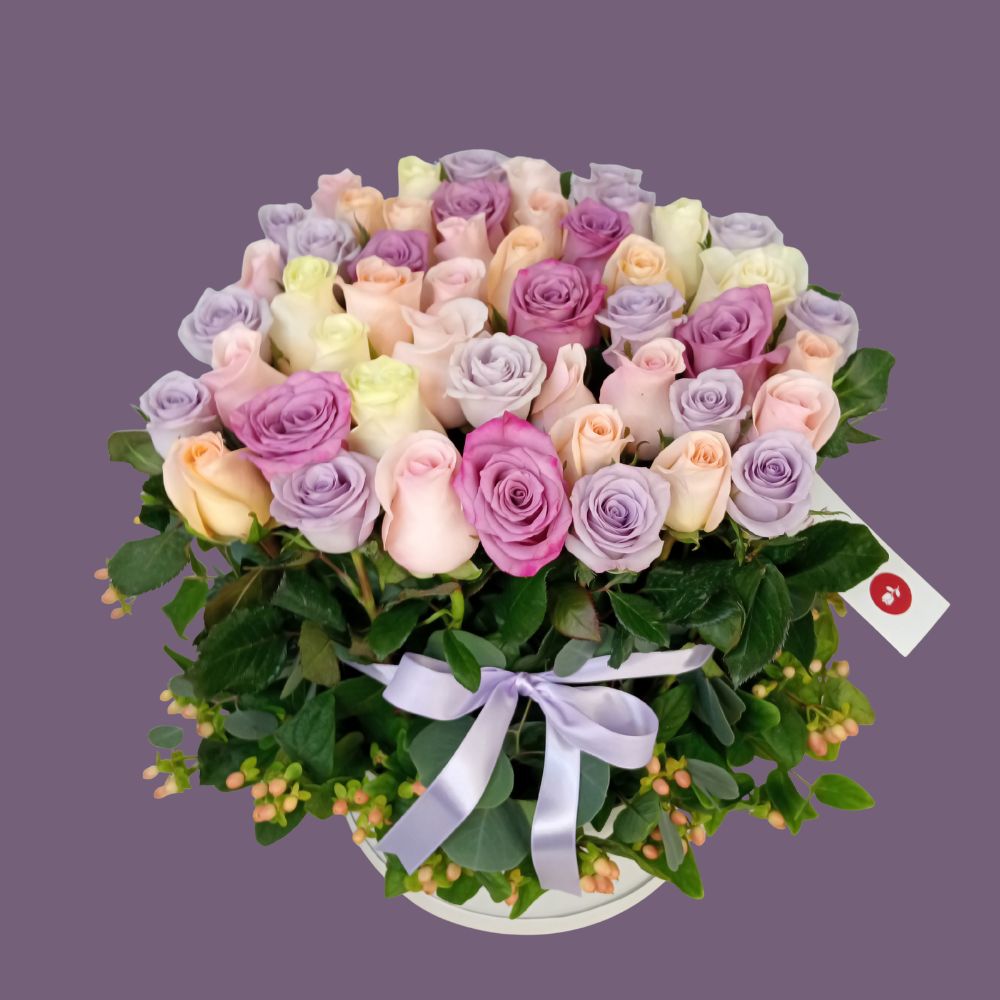 Premium-5a Premium-5a